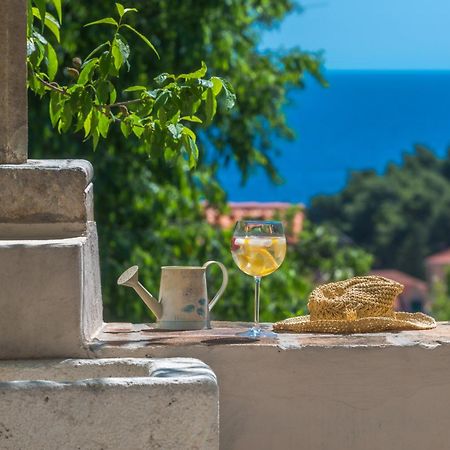 Villa Flores Garden Дубровник Экстерьер фото